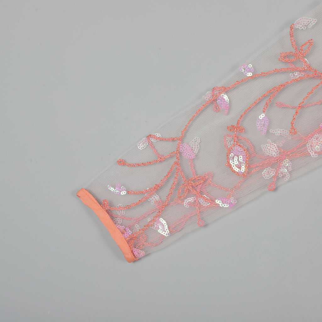 Light Orange Gown With Embroidery Work Net And Inner