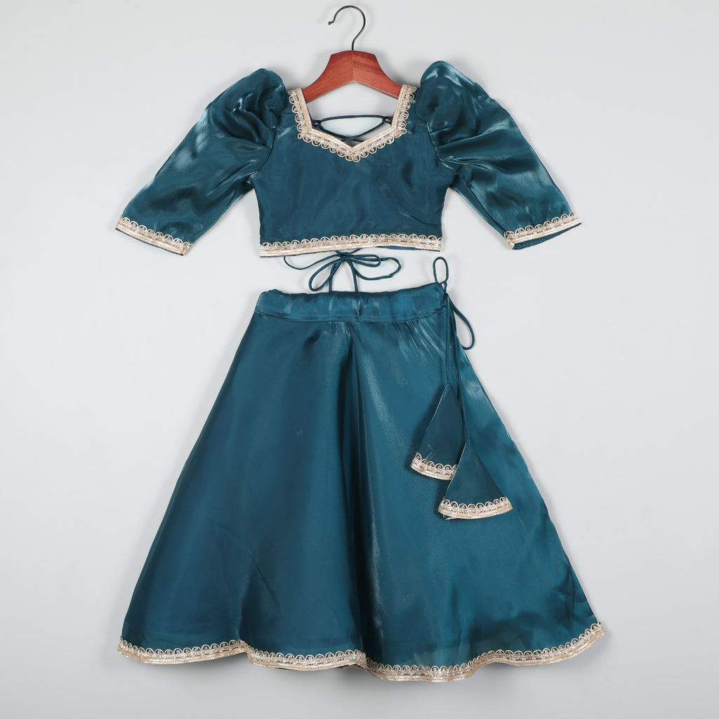 Puffy Sleeves Choli With Its Attractive Look And Fully Shining Fabric